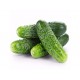 Japanese Mini Cucumbers (about 1lb）